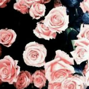 Meet your Posher, Emilee